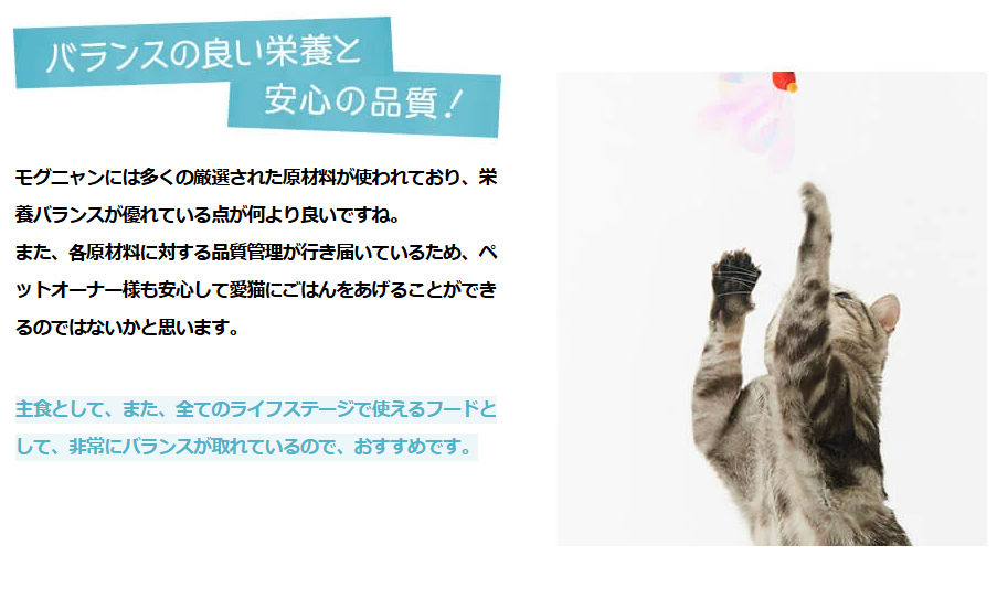 モグニャン｜愛猫が喜ぶ香りと味わいを追求したグレインフリーキャットフード-05-27-2025_04_05_PM (2)