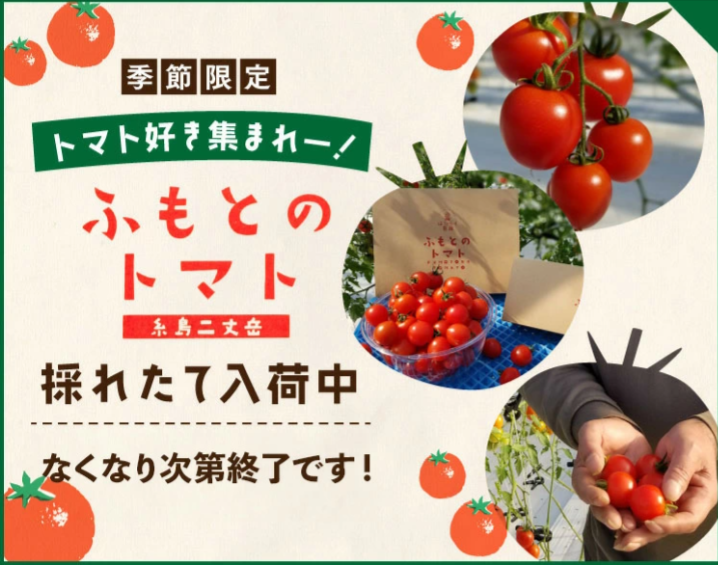 九州の美味を、産地直送でお届け-｜九州お取り寄せ本舗-05-28-2025_10_47_PM (1)