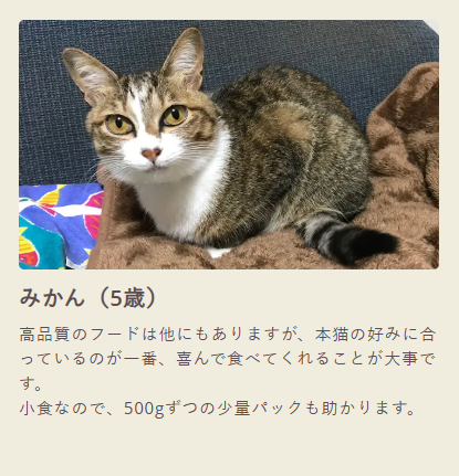 GRANDS（グランツ）【公式】｜無添加グレインフリーのプレミアム・キャットフード通販-06-04-2025_01_32_PM